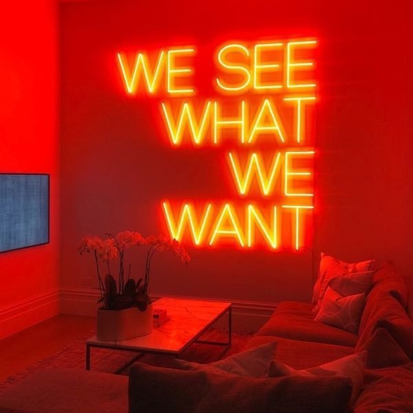 we see what we want neon sign