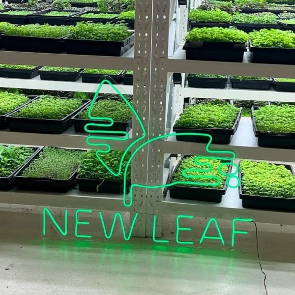 new leaf neon sign