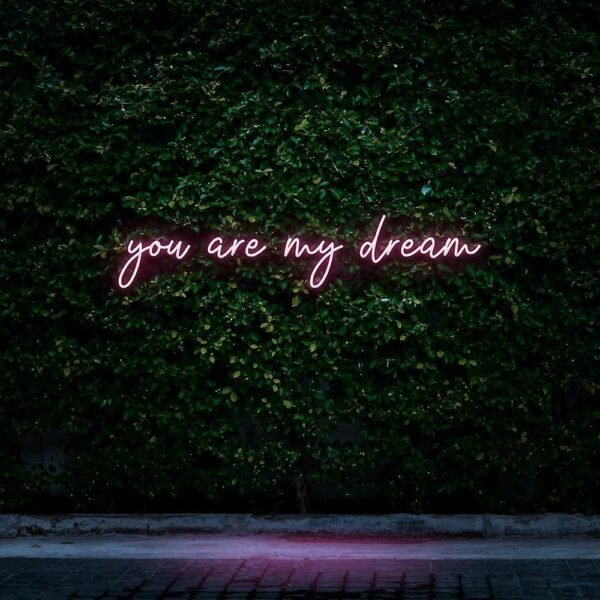 you are my dream neon sign