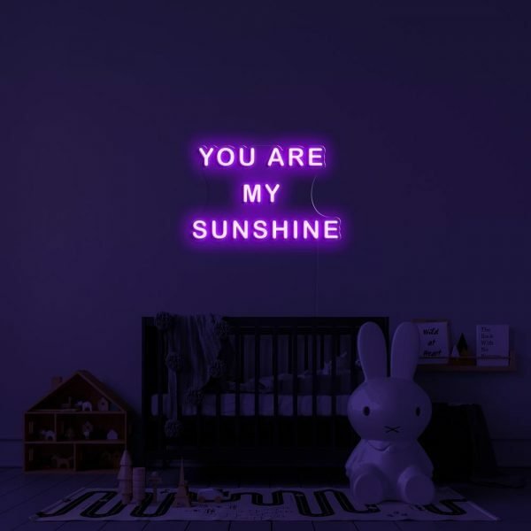 you are my sunshine neon sign