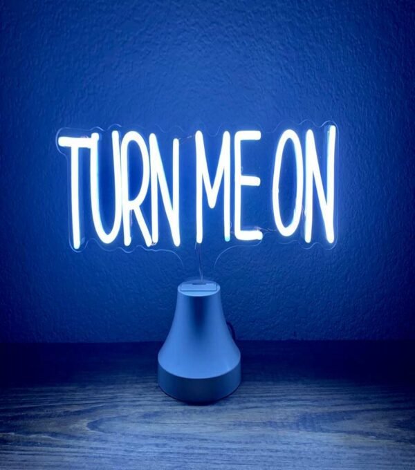 turn me on neon sign